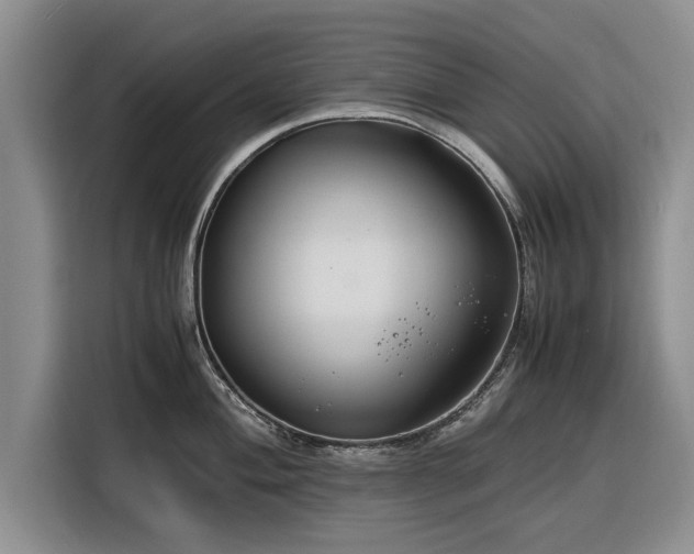 X0000116261004200912071018
