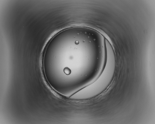 X0000116261005200912071018
