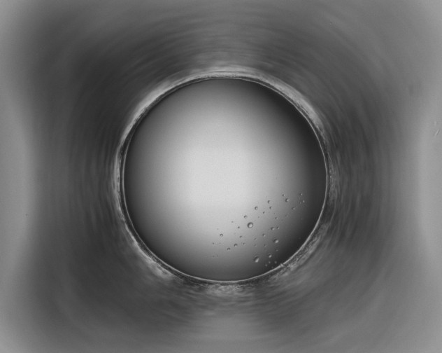 X0000116261006200912071018