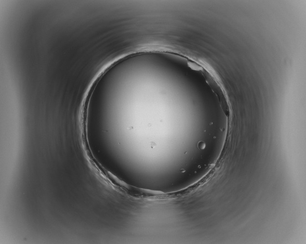 X0000116261008200912071018