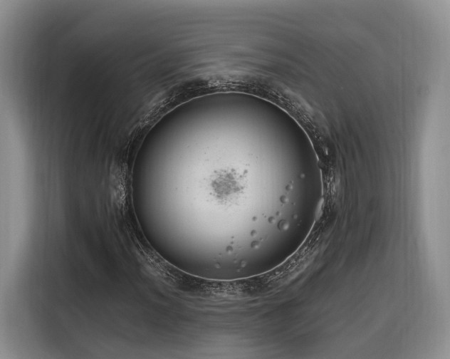 X0000116261012200912071018