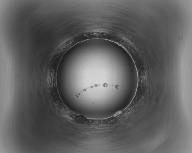 X0000116261014200912071018