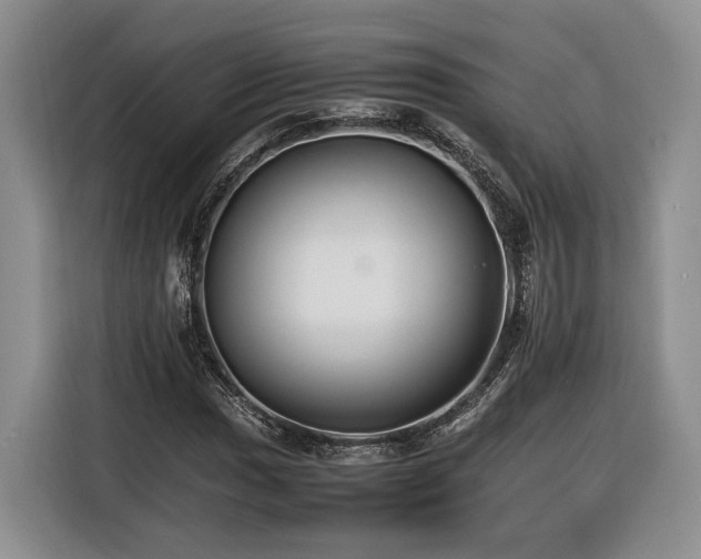 X0000116261017200912071018
