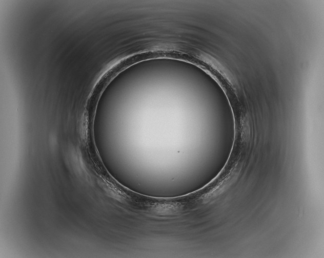 X0000116261021200912071018