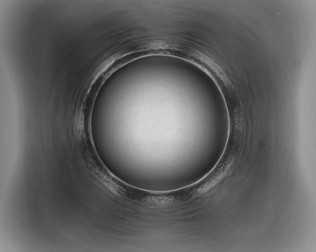 X0000116261023200912071018