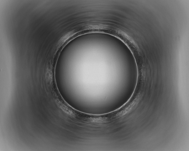 X0000116261025200912071018