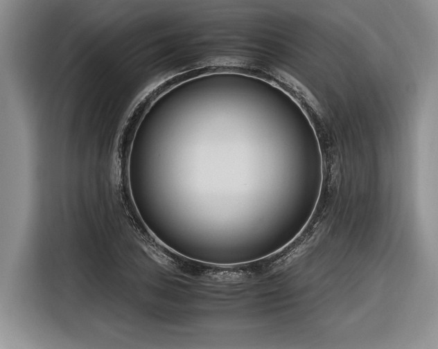 X0000116261027200912071018