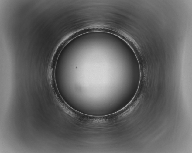 X0000116261029200912071018