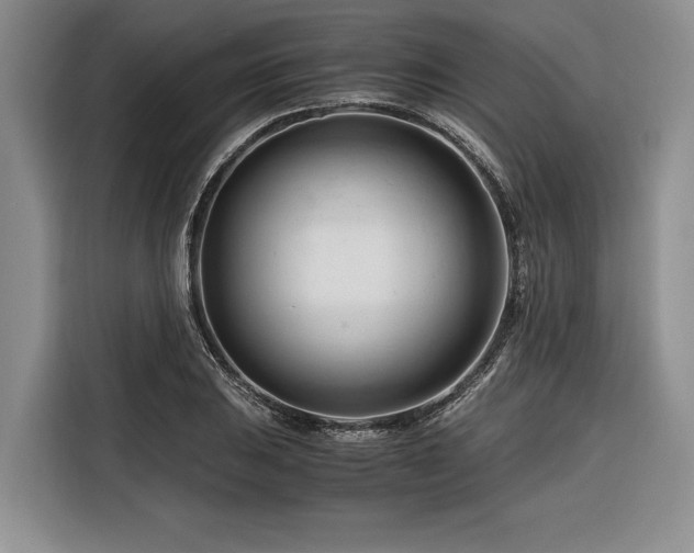 X0000116261031200912071018