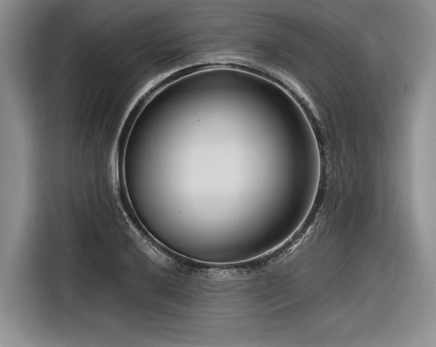 X0000116261032200912071018