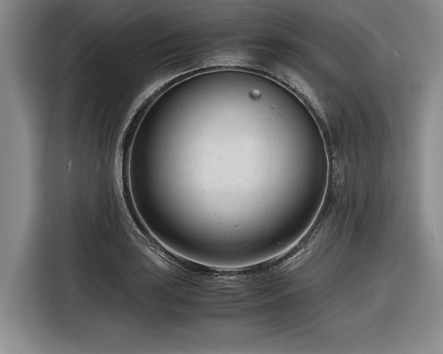 X0000116261035200912071018