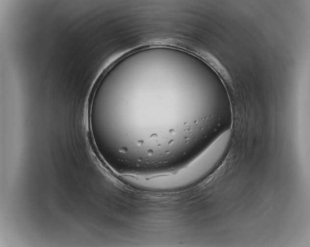 X0000116261036200912071018