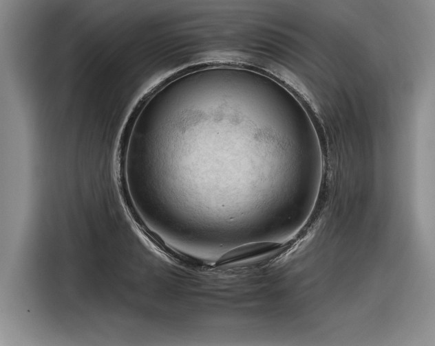 X0000116261037200912071018