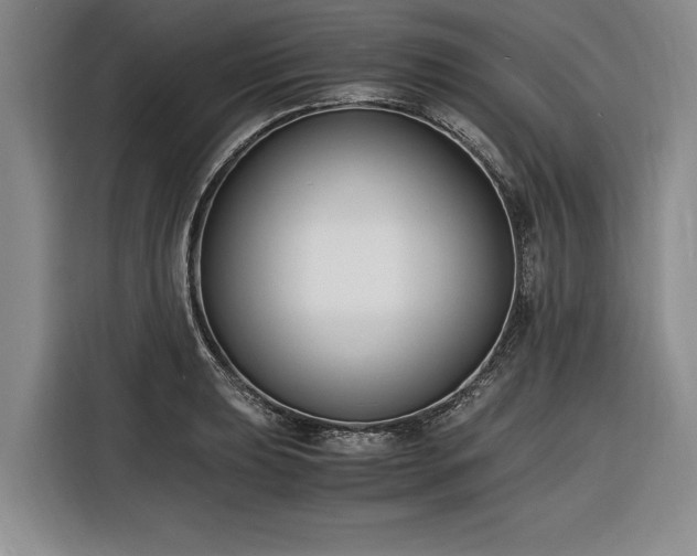 X0000116261039200912071018
