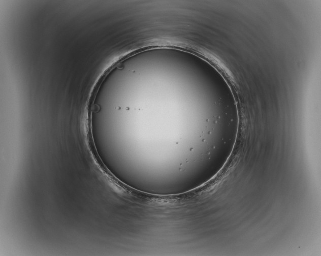 X0000116261040200912071018