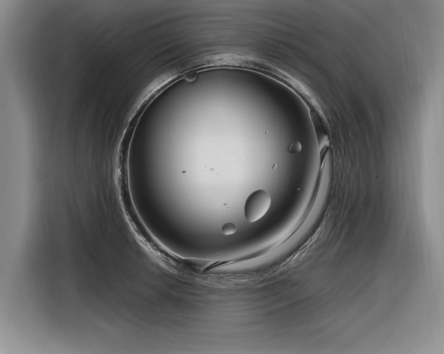 X0000116261042200912071018