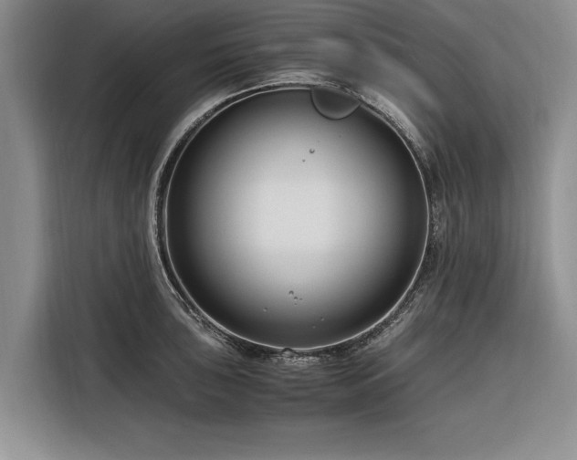 X0000116261043200912071018