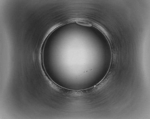 X0000116261050200912071018