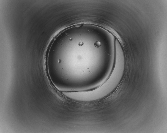 X0000116261051200912071018