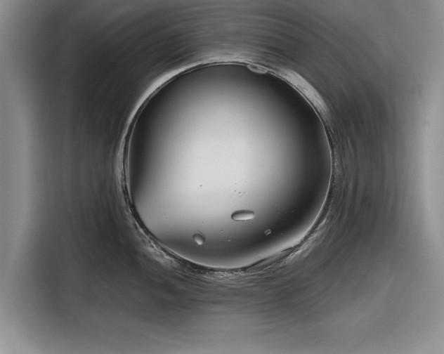 X0000116261052200912071018