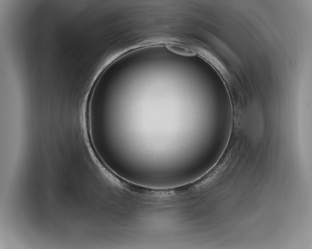 X0000116261055200912071018