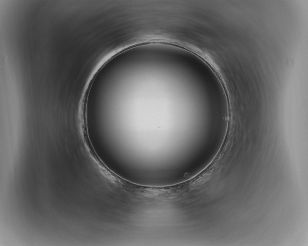 X0000116261056200912071018