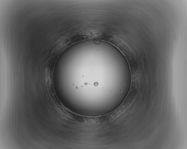 X0000116261058200912071018