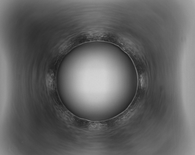 X0000116261059200912071018