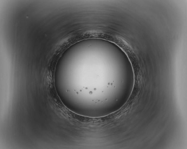 X0000116261062200912071018