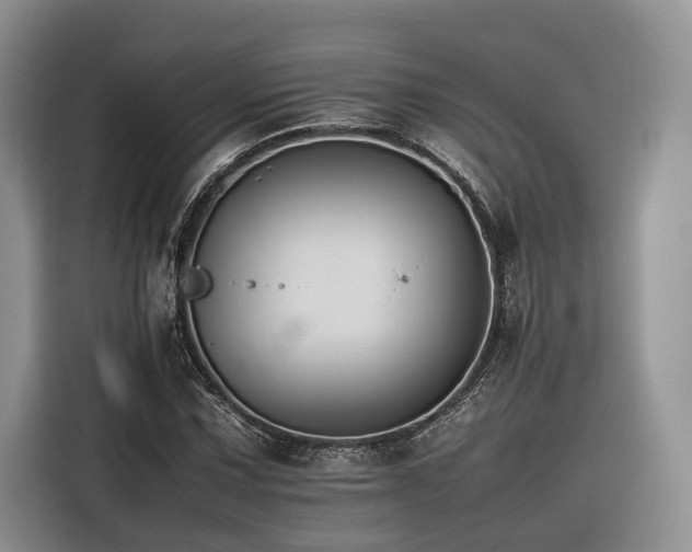 X0000116261067200912071018
