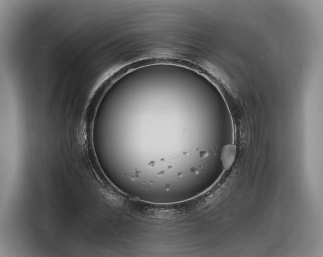 X0000116261070200912071018