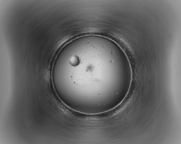 X0000116261073200912071018