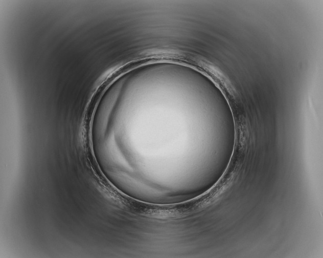 X0000116261074200912071018