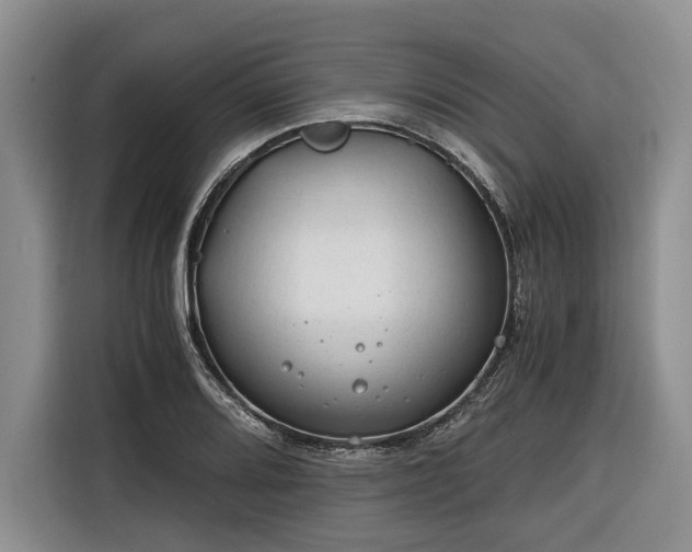 X0000116261080200912071017