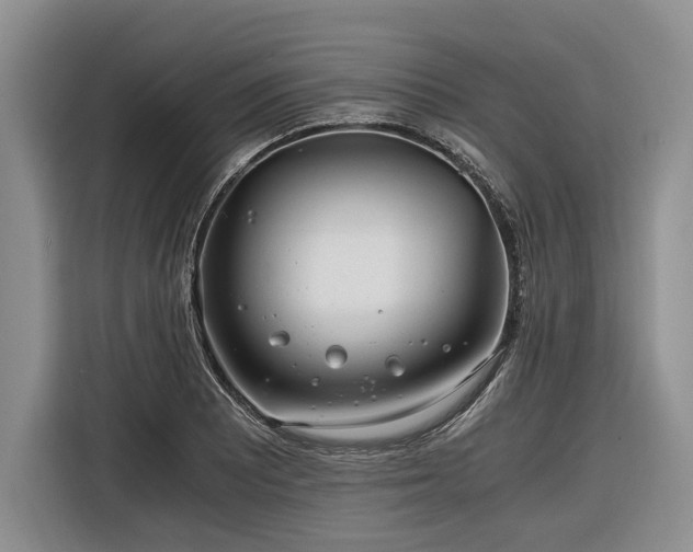 X0000116261081200912071017