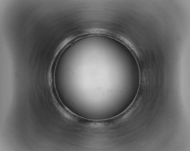 X0000116261082200912071017