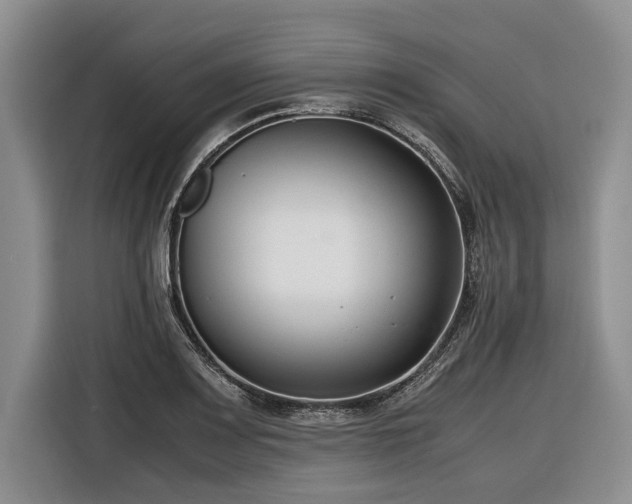 X0000116261083200912071017