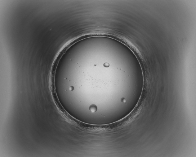 X0000116261085200912071017