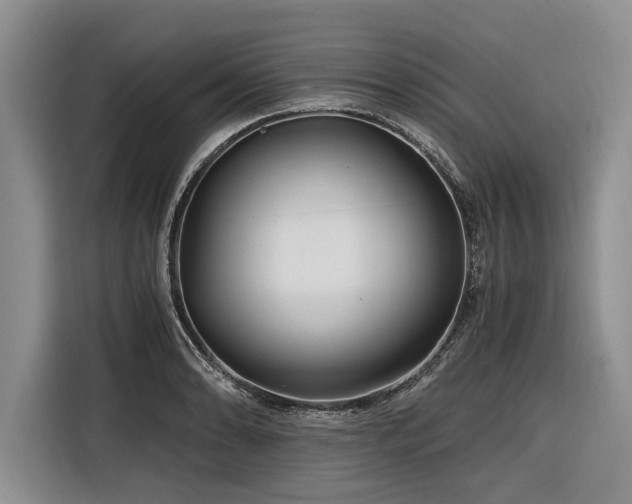 X0000116261086200912071017