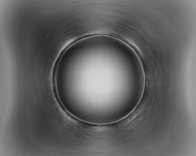 X0000116261087200912071017