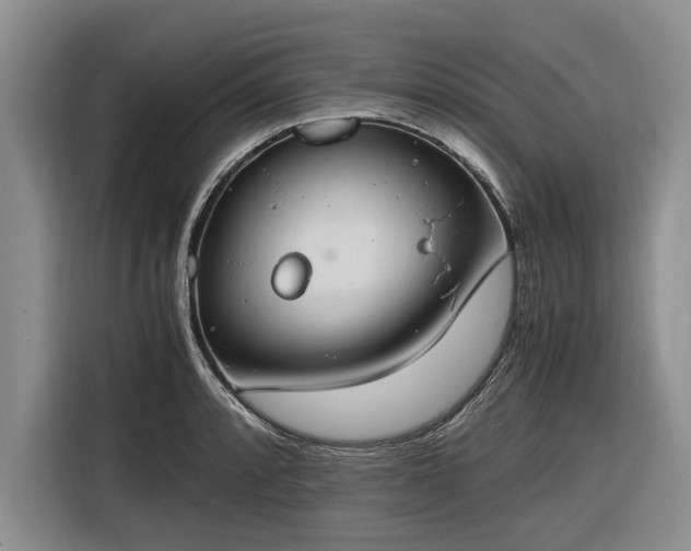 X0000116261088200912071017