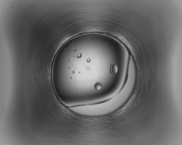 X0000116261089200912071017