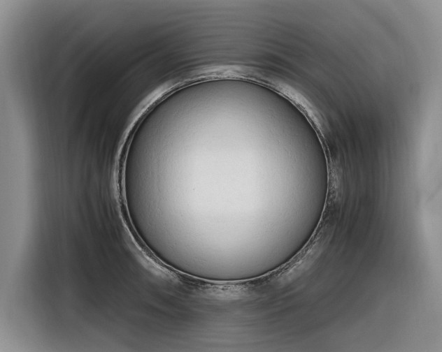 X0000116261090200912071017