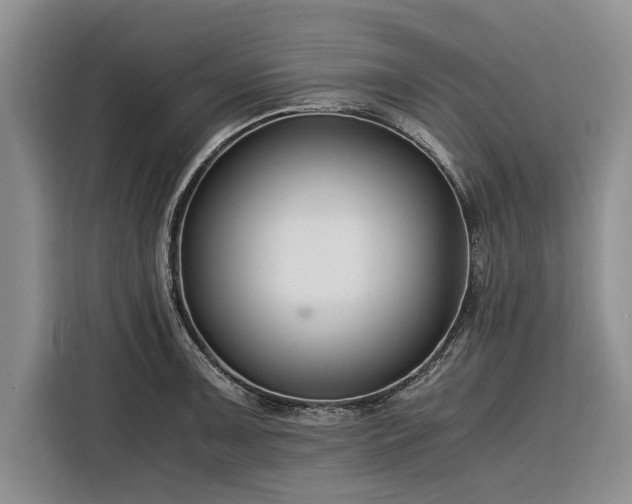 X0000116261091200912071017
