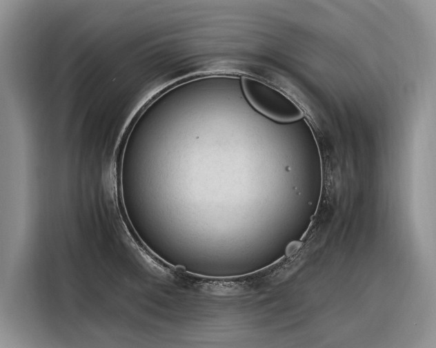 X0000116261092200912071017