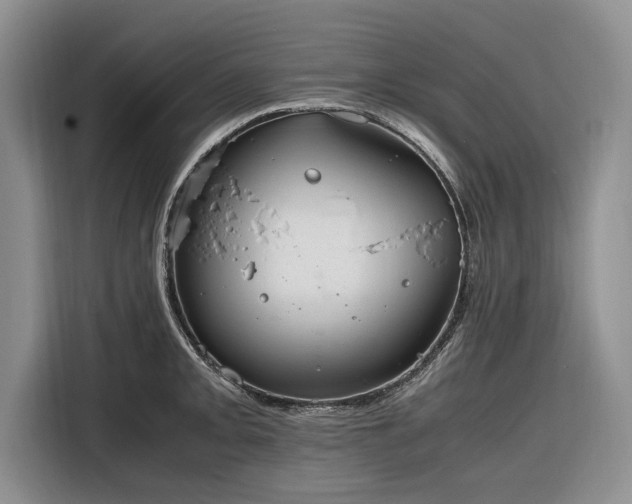 X0000116261093200912071017