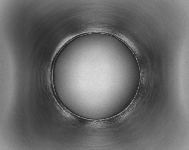 X0000116261094200912071017