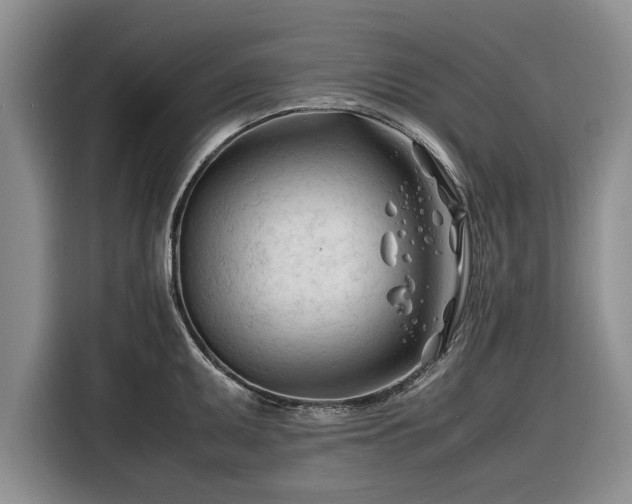 X0000116261095200912071017