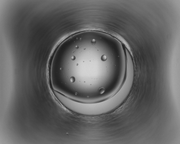 X0000116261096200912071017