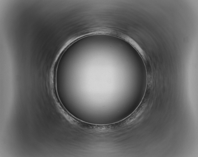 X0000116261099200912071017